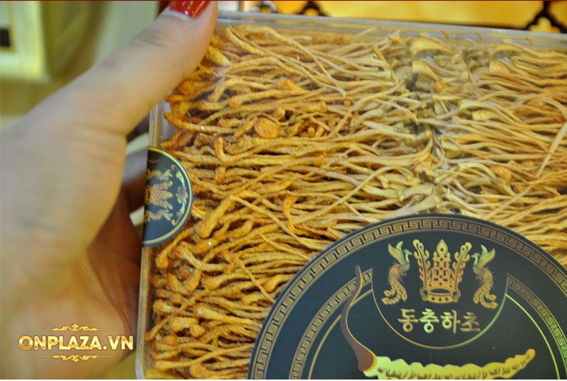 Nấm đông trùng hạ thảo Hàn Quốc cao cấp sấy khô hộp 180gr D227 8