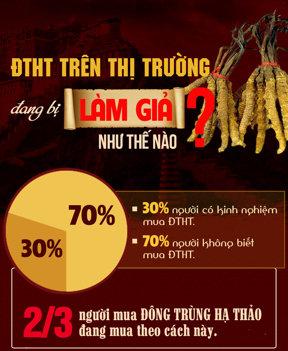 đông trùng hạ thảo trên thị trường bị làm giả như thế nào