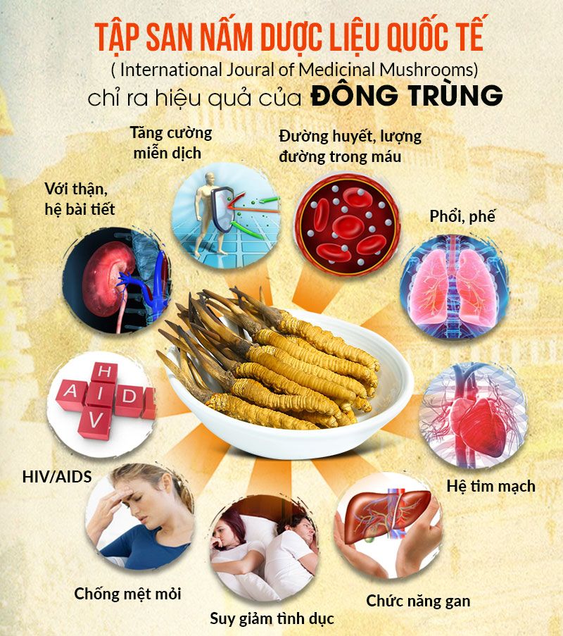hiệu quả của đtht theo tập san nấm dược liệu quốc tế