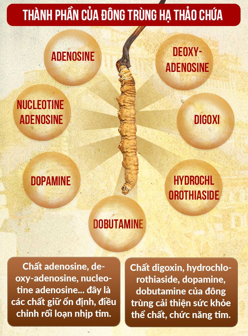 thành phần của dtht